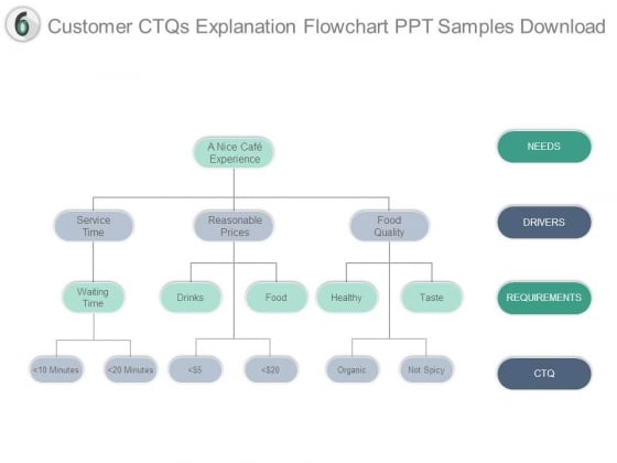 Customer Ctqs Explanation Flowchart Ppt Samples Download Customer Ctqs Explanation Flowchart Ppt Samples Download
