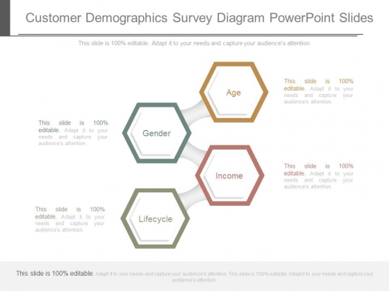 Customer Demographics Survey Diagram Powerpoint Slides