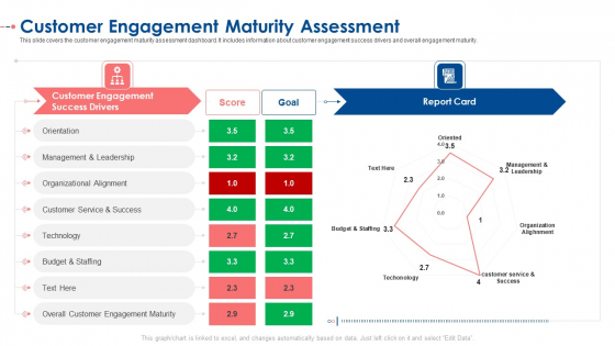 Customer Engagement Maturity Assessment Ppt Summary PDF