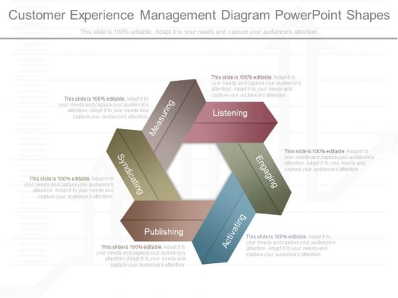 Customer Experience Management Diagram Powerpoint Shapes 1