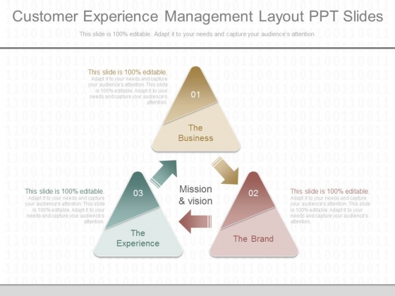 Customer Experience Management Layout Ppt Slides