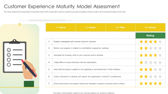 Customer Experience Maturity Model Assessment Elements PDF