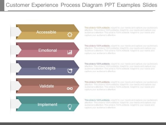 Customer Experience Process Diagram Ppt Examples Slides Customer Experience Process Diagram Ppt Examples Slides