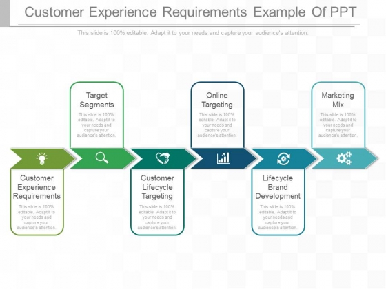 Customer Experience Requirements Example Of Ppt