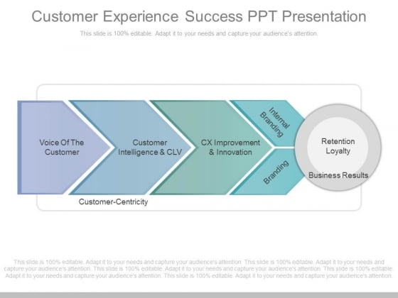 Customer Experience Success Ppt Presentation 1