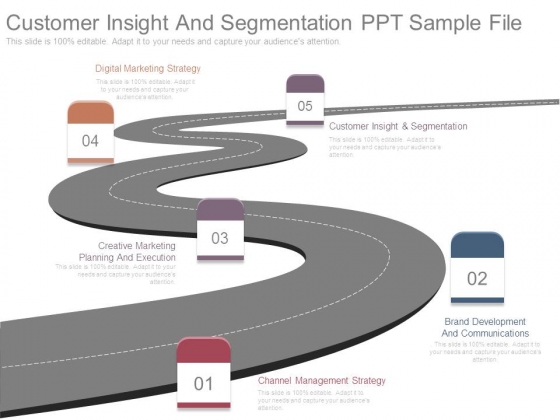 Customer Insight And Segmentation Ppt Sample File Customer Insight And Segmentation Ppt Sample File