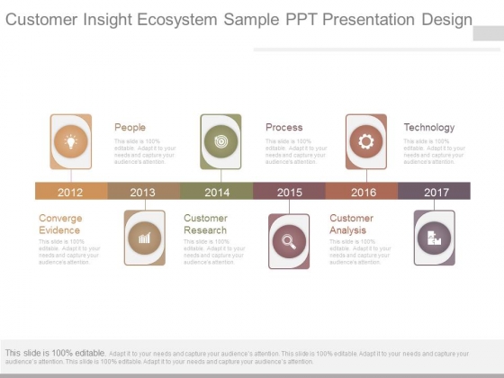 Customer Insight Ecosystem Sample Ppt Presentation Design