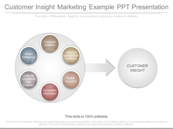 Customer Insight Marketing Example Ppt Presentation