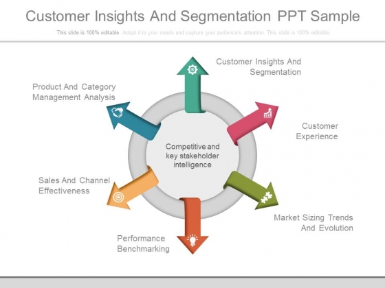 Customer Insights And Segmentation Ppt Sample Customer Insights And Segmentation Ppt Sample