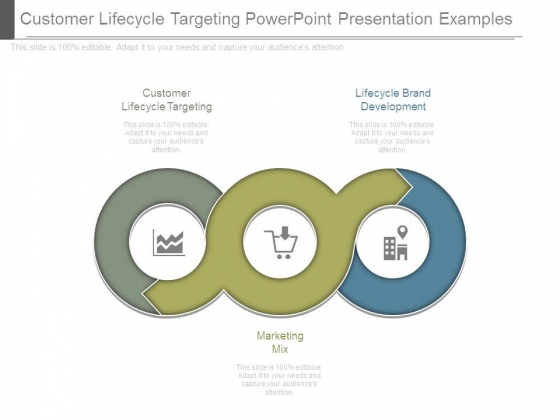 Customer Lifecycle Targeting Powerpoint Presentation Examples Customer Lifecycle Targeting Powerpoint Presentation Examples