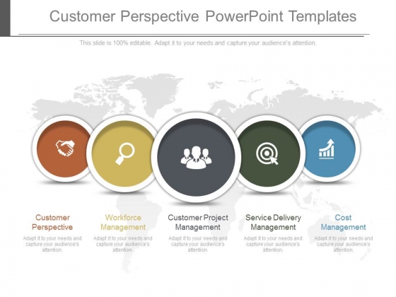 Customer Perspective Powerpoint Templates