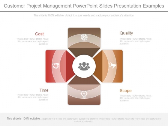 Customer Project Management Powerpoint Slides Presentation Examples