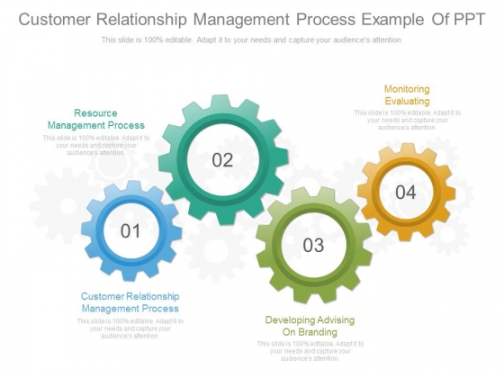 Customer Relationship Management Process Example Of Ppt Customer Relationship Management Process Example Of Ppt