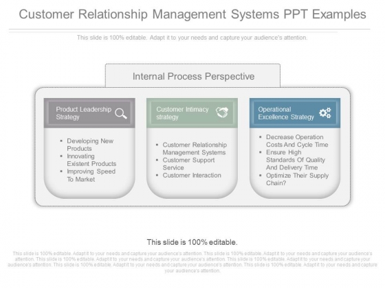 Customer Relationship Management Systems Ppt Examples Customer Relationship Management Systems Ppt Examples