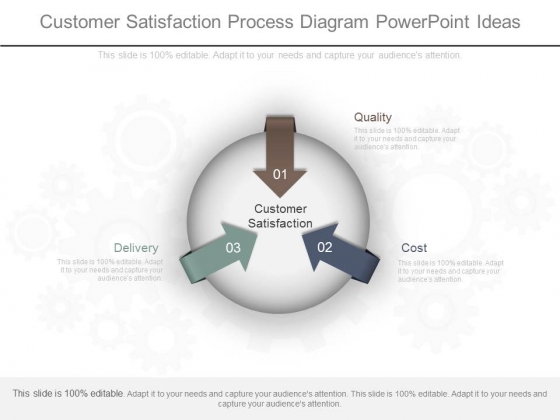 Customer Satisfaction Process Diagram Powerpoint Ideas
