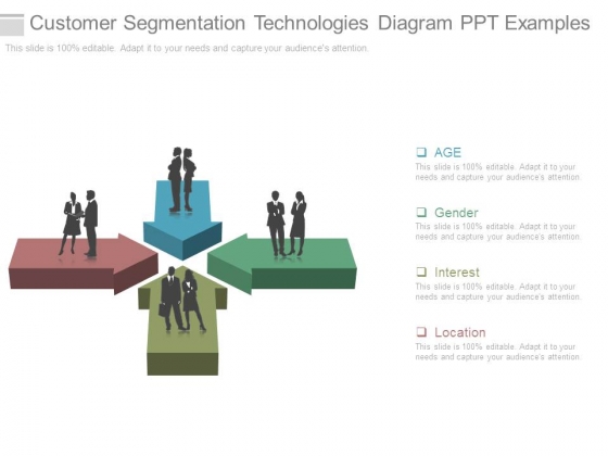 Customer Segmentation Technologies Diagram Ppt Examples