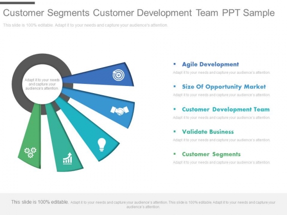 Customer Segments Customer Development Team Ppt Sample