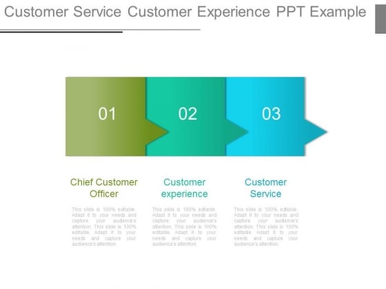 Customer Service Customer Experience Ppt Example Customer Service Customer Experience Ppt Example