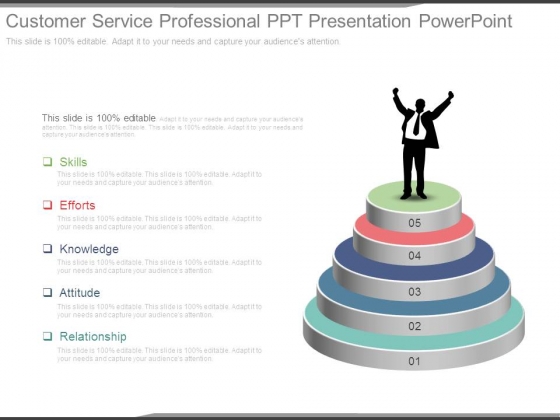 Customer Service Professional Ppt Presentation Powerpoint Customer Service Professional Ppt Presentation Powerpoint