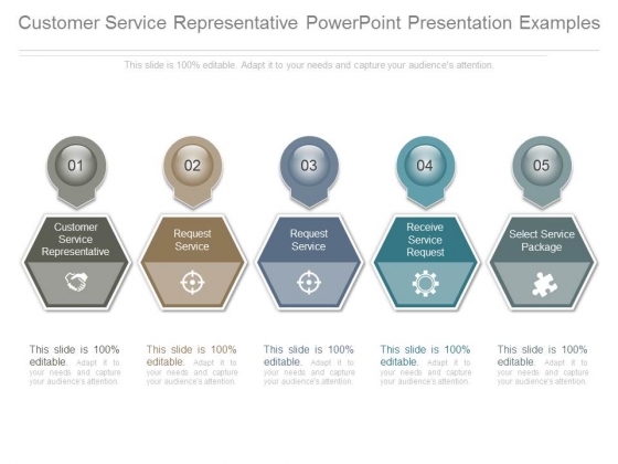 Customer Service Representative Powerpoint Presentation Examples