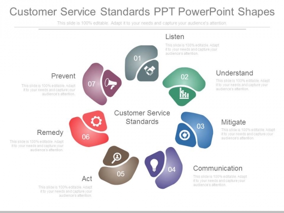 Customer Service Standards Ppt Powerpoint Shapes Customer Service Standards Ppt Powerpoint Shapes