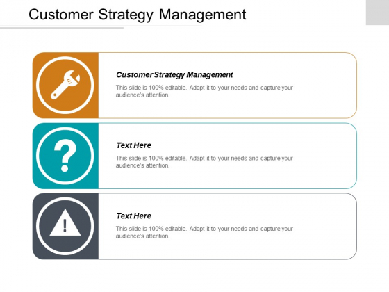 Customer Strategy Management Ppt PowerPoint Presentation Icon Graphics Download Cpb