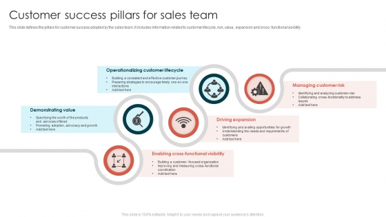 Customer Success Pillars For Sales Team Template PDF