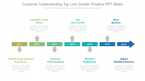 Customer Understanding Top Line Growth Timeline Ppt Slides