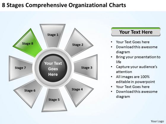 Company Business Strategy Comprehensive Organizational Charts Execution