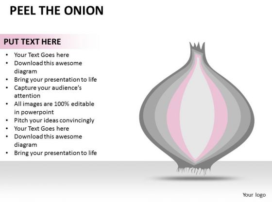 Concept Peel The Onion PowerPoint Slides And Ppt Diagram Templates Concept Peel The Onion PowerPoint Slides And Ppt Diagram Templates