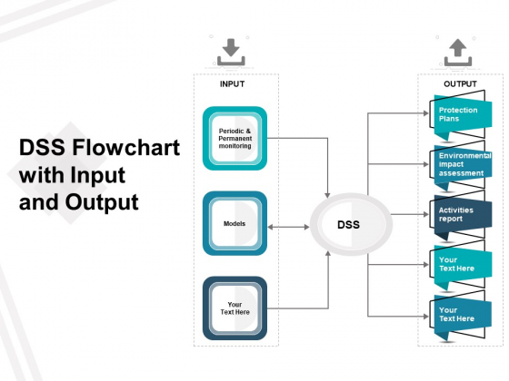 DSS Flowchart With Input And Output Ppt PowerPoint Presentation Gallery Slides PDF
