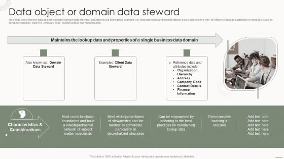Data Governance IT Data Object Or Domain Data Steward Summary PDF