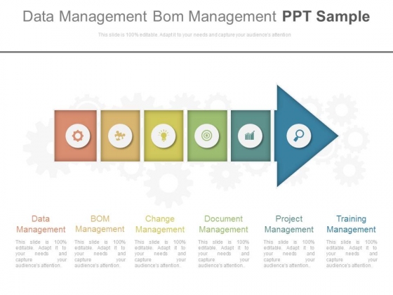 Data Management Bom Management Ppt Sample