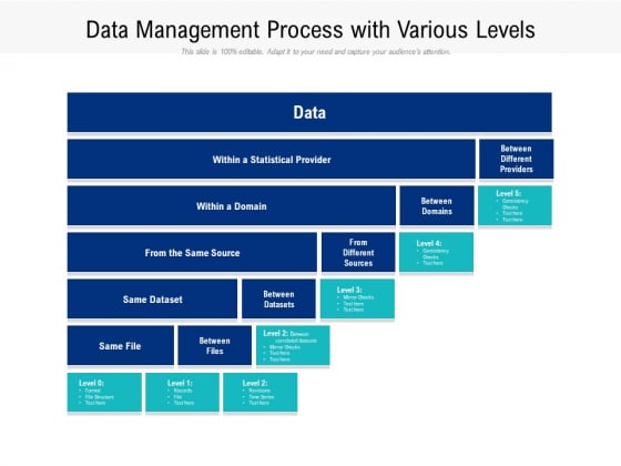Data Management Process With Various Levels Ppt PowerPoint Presentation File Sample PDF Data Management Process With Various Levels Ppt PowerPoint Presentation File Sample PDF