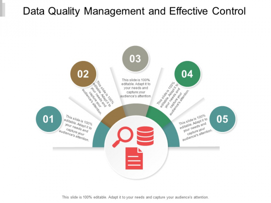 Data Quality Management And Effective Control Ppt PowerPoint Presentation Model Guidelines