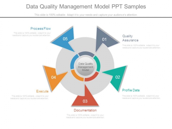 Data Quality Management Model Ppt Samples