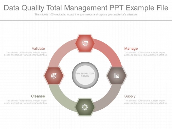 Data Quality Total Management Ppt Example File