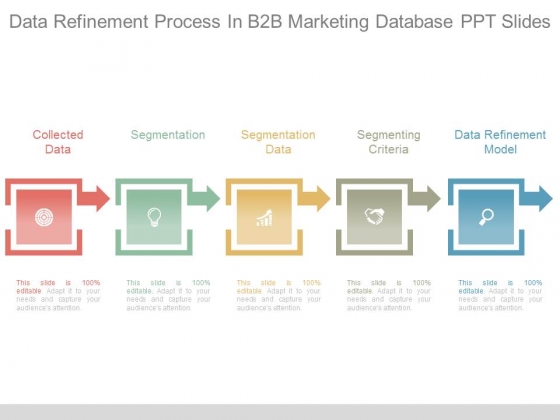 Data Refinement Process In B2b Marketing Database Ppt Slides Data Refinement Process In B2b Marketing Database Ppt Slides