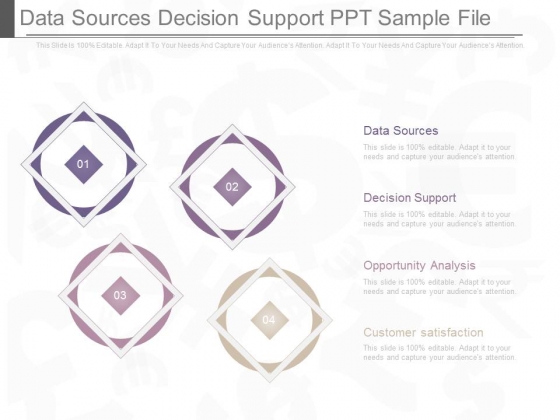 Data Sources Decision Support Ppt Sample File