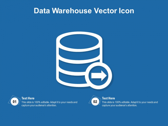 Data Warehouse Vector Icon Ppt PowerPoint Presentation File Designs PDF