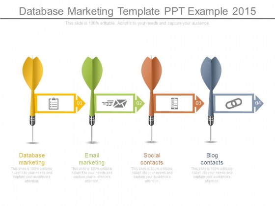 Database Marketing Template Ppt Example 2015