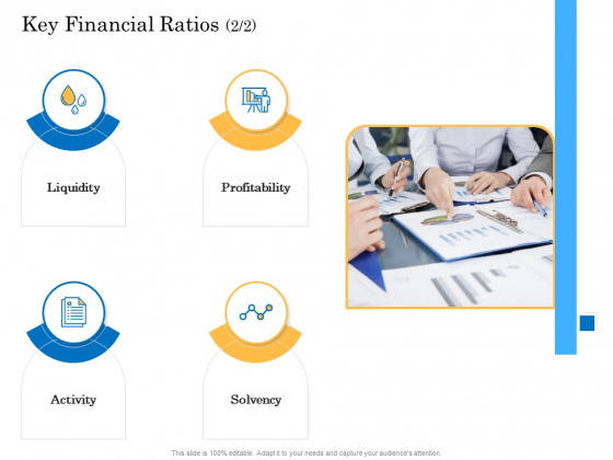Deal Assessment Audit Process Key Financial Ratios Sample PDF Deal Assessment Audit Process Key Financial Ratios Sample PDF