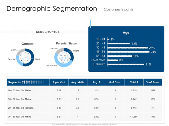 Demographic Segmentation Customer Insights Age Pictures PDF