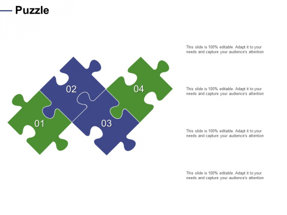 Designing Compensation Systems For Professionals Puzzle Ppt Layouts Layout PDF Designing Compensation Systems For Professionals Puzzle Ppt Layouts Layout PDF
