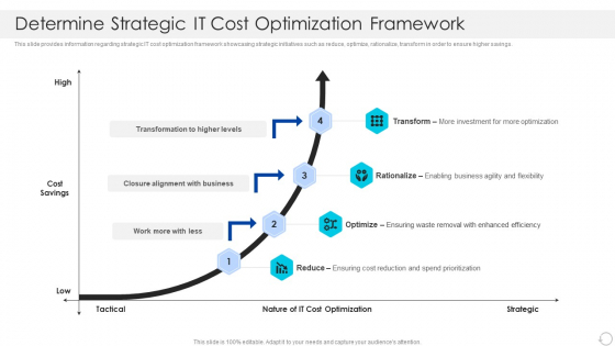Determine Strategic IT Cost Optimization Framework Summary PDF