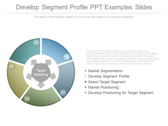 Develop Segment Profile Ppt Examples Slides