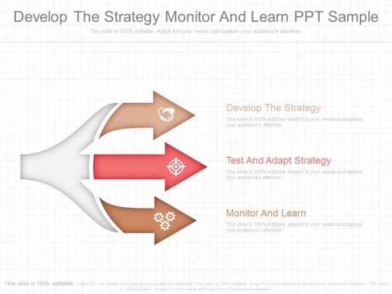 Develop The Strategy Monitor And Learn Ppt Sample