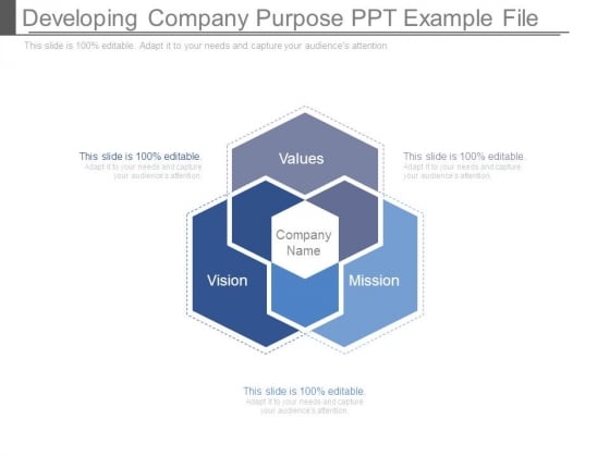 Developing Company Purpose Ppt Example File Developing Company Purpose Ppt Example File