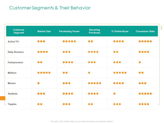Developing Customer Service Strategy Customer Segments And Their Behavior Summary PDF