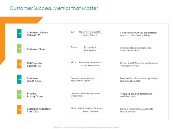 Developing Customer Service Strategy Customer Success Metrics That Matter Structure PDF
